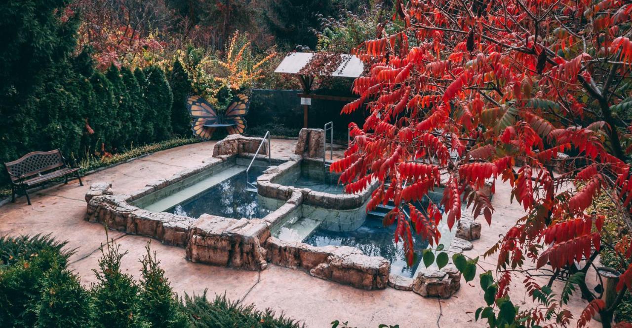 스파 호텔 드보렛사 벨린그래드 외부 사진 The outdoor hot springs at the Old Faithful Inn